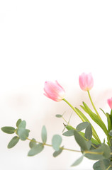 チューリップとユーカリ　シンプル　白背景　ピンク　春　植物　季節　素材　背景素材　余白　ホワイトスペース　室内　屋内　部屋　白い壁　余白　空白　文字スペース　コピースペース　グラフィック素材　縦