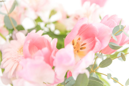 ピンクの花　アップ　クローズアップ　ピンク系の花とグリーン　素材　室内　屋内　自然光　ホワイトスペース　コピースペース　文字スペース　横　背景素材　背景　グラフィック素材　　白　緑　ピンク　春　季節　スイートピー