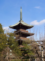 上野　旧寛永寺五重塔