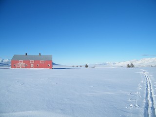 Old Red Barn on a Snowy Plain with Blue Sunny Sky