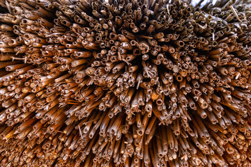 Detail of a straw thatch roof closeup