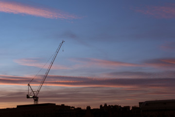 silhouette of crane