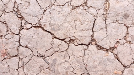 Arid land or macro dried  land. Photo of soil during drought background. Hard shadows and  dried ground from above. Royalty free stock images.
