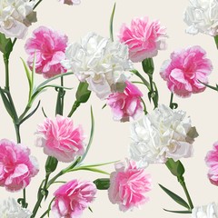 Carnation flower isolated on white background vector illustration
