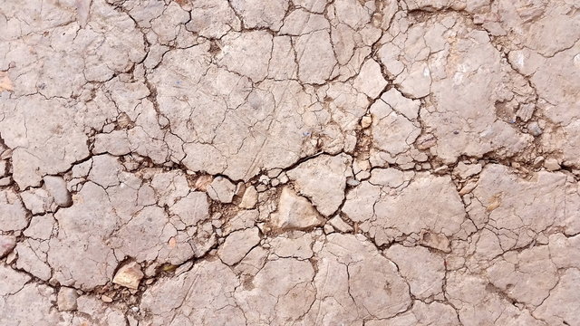 Dried soil or close-up arid  land. Images of soil during drought background. Hard shadows and   damaged ground from above. Royalty free stock images.