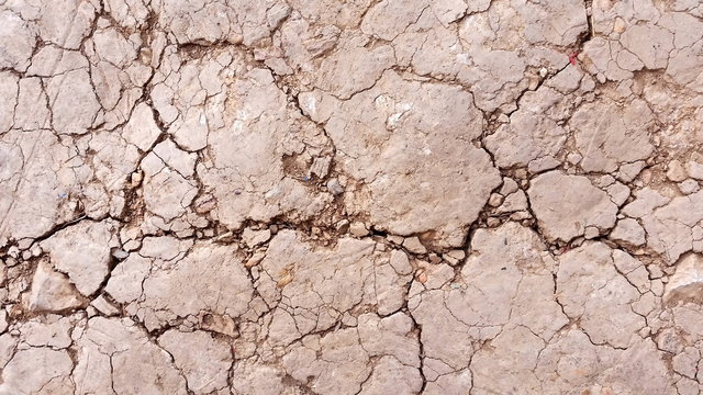 Photo of arid ground or close-up cracked land. Images of desert ground texture background from above.  Royalty free stock picture.