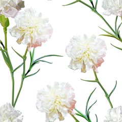 Naklejka na ściany i meble Carnation flower seamless pattern vector illustration