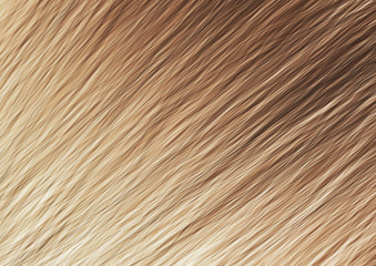 Wooden Brown Texture Backgrounds Graphic Design , Digital Art , Parquet Wallpaper , Soft Blur