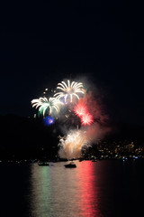 fireworks in the sky