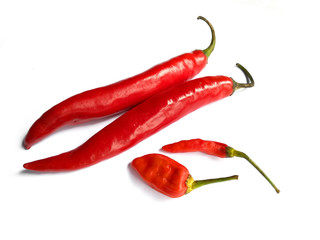 Chili pepper isolated on a white background with clipping path. Hot red chili pepper on white background.