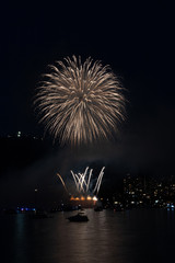 fireworks in the sky