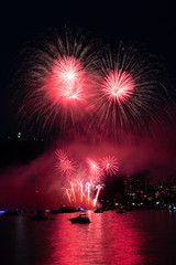 fireworks in the sky