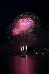 fireworks in the sky