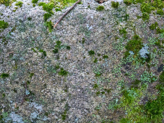 Beautiful colorful texture of natural stone.