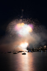 fireworks in the sky