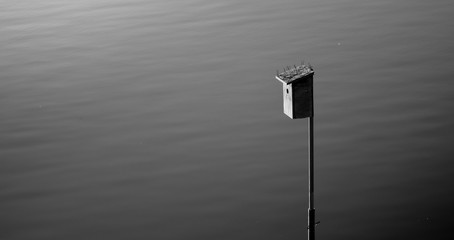 bird house on lake black and white