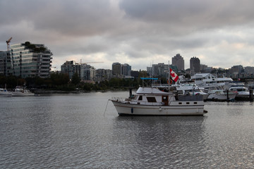 Naklejka premium boats in harbor