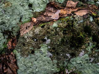 Beautiful colorful texture of natural stone.