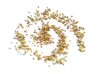 Coriander seeds isolated on white background with clipping path.Coriander seeds on white background.