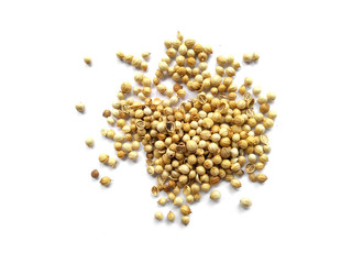 Coriander seeds isolated on white background with clipping path.Coriander seeds on white background.