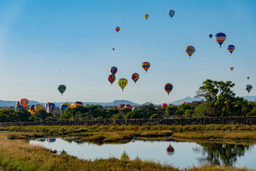 Fototapeta premium Morning view of the famous Albuquerque International Balloon Fiesta event
