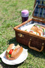 公園でピクニック