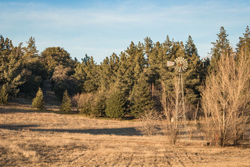 Rural wooded country landscape with windmill 