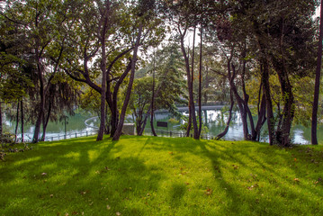 Istanbul, Turkey, 8 September 2006: Trees, grass, lake, Yildiz Park, Besiktas.