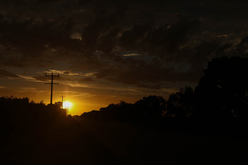 Vibrant sunset with deep colored sky through dark tree silhouettes 