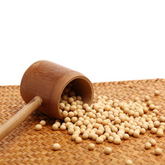 gold soybean isolated on white background