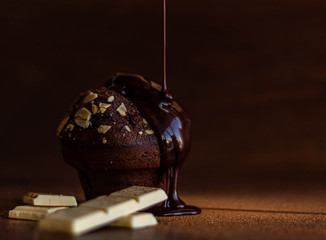  CUP CAKE AND DELICIOUS CHOCOLATE BARS