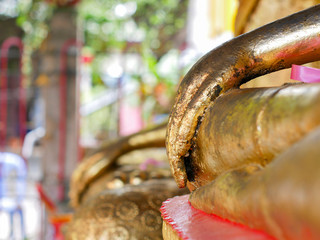 Close up praying hands of Buddha. Praying hands golden of Buddha.