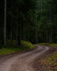 Fototapeta na wymiar S curve dirt road in the forest during dark moody day.