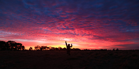 Panoramic image of vibrant pink and purple sunset sky with silhouette of small child jumping in Central Victoria, Australia