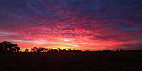 Panoramic image of vibrant pink and purple sunset sky in Central Victoria, Australia