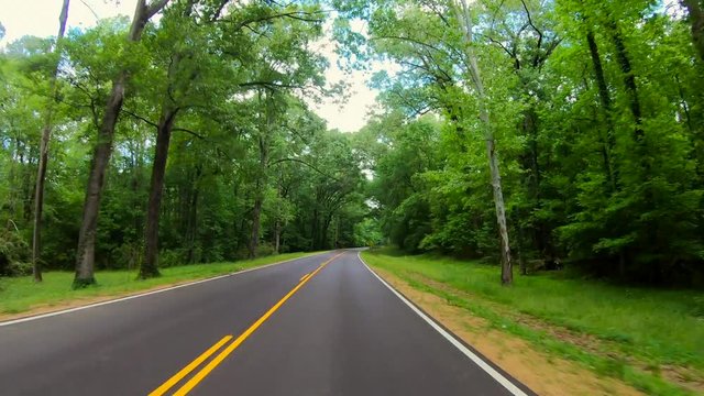 NATCHEZ TRACE PARKWAY, Potkupino Section, timelapse drive down historic parkway in south