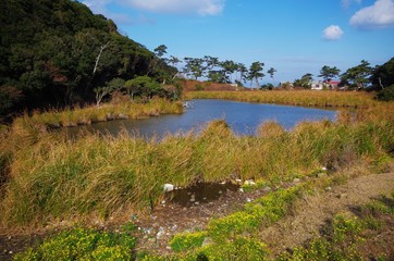 友ヶ島の池