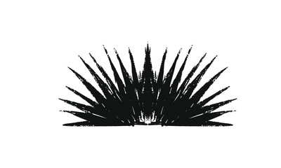 Obraz premium Agave texture