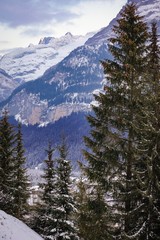 scenic mountain view of Grindelwald, switzerland in winter