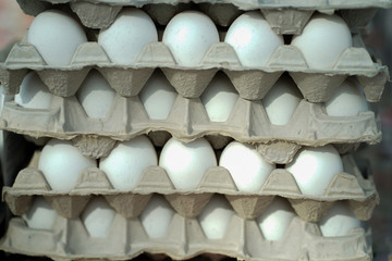 eggs in a box