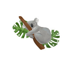 Koala on a branch with green leaves. Australian animal, funny cartoon Koala sleeping © IRINA