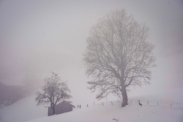 Fototapeta premium scenic mountain view of Grindelwald, switzerland in winter