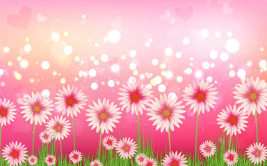 pink daisy flower with green abstract background