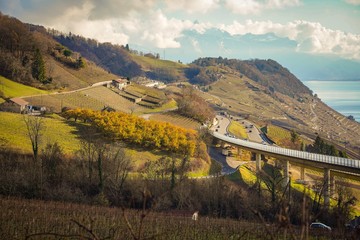 Naklejka premium Lavaux is a region in the canton of Vaud in Switzerland, in the district of Lavaux-Oron. Lavaux consist of 830 hectares of terraced vineyards that stretch for about 30 km along the lake geneva