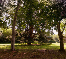 PARQUES Y LUGARES DE DESCANSO