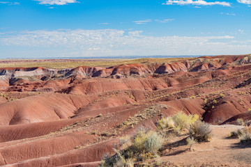 Beautiful landscape of Tiponi Point at Petrified Forest National Park