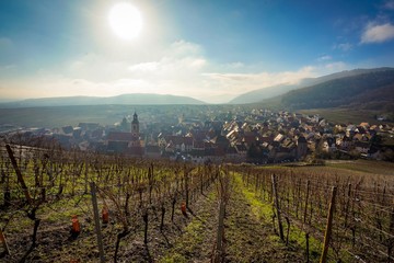 Fototapeta premium The beautiful view of Riquewihr Village, France from on top of Vineyard Hill