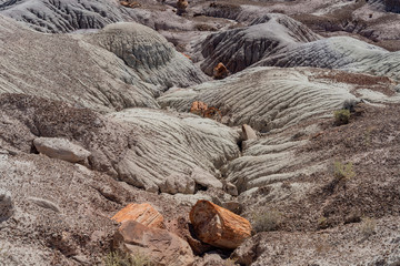 Beautiful landscape of Petrified Forest National Park