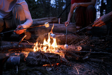 Friends frying sweet marshmallows over a campfire, on a summer evening, in the forest.
