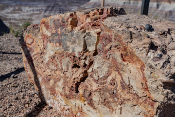 Beautiful landscape of Petrified Forest National Park